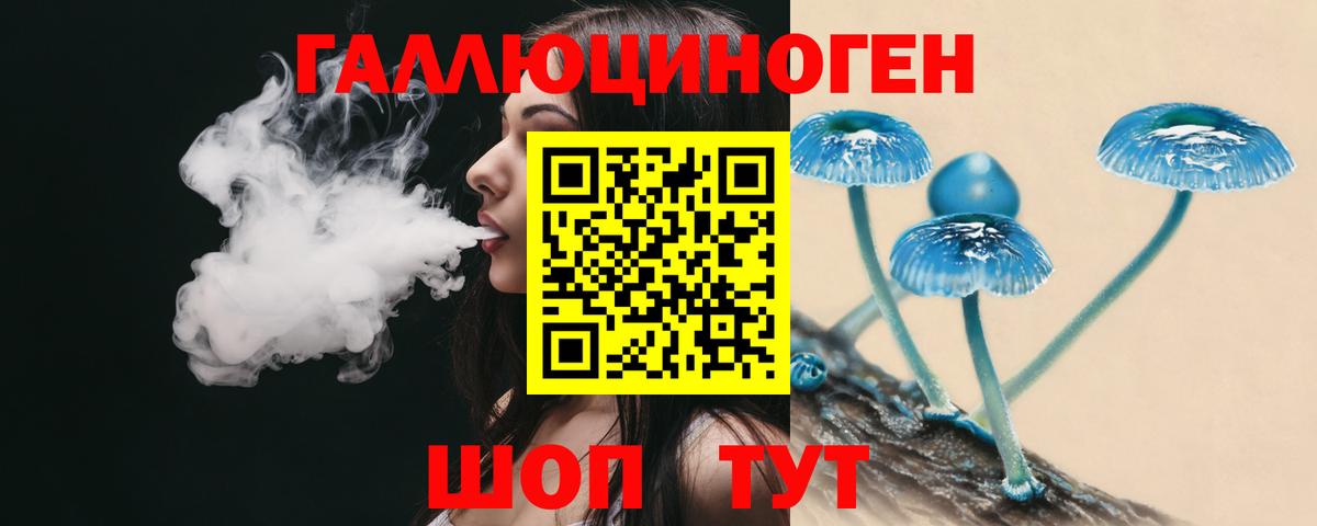 Александров  Галлюциногенные грибы мухоморы  Вход с VPN 